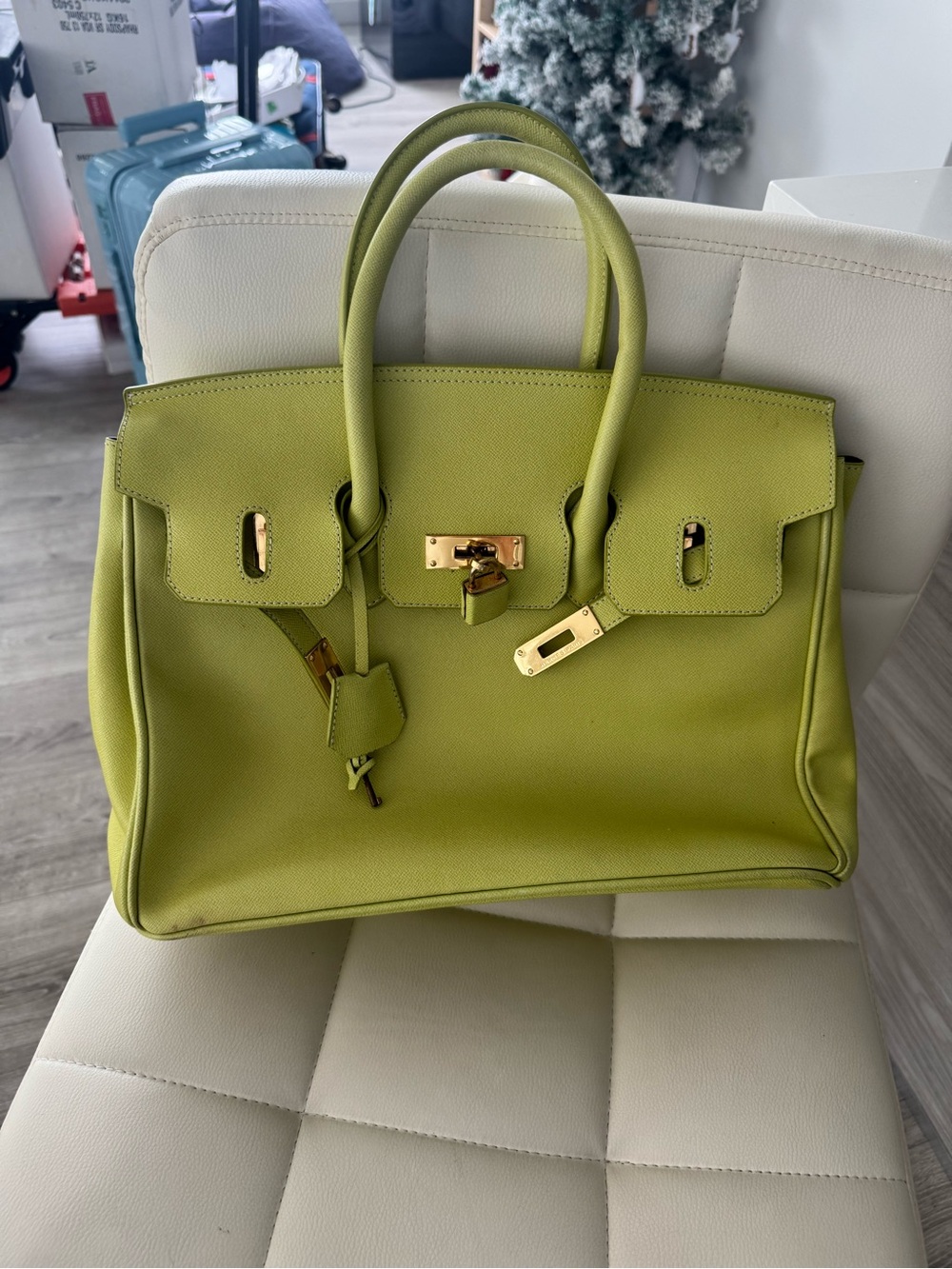 Hermes birkin